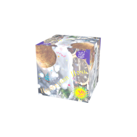 Новогодняя ночь Салют купить в Чапаевске | chapaevsk.salutsklad.ru