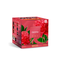 Пионы Салют купить в Чапаевске | chapaevsk.salutsklad.ru