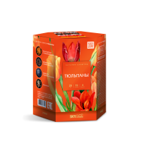 Тюльпаны Салют купить в Чапаевске | chapaevsk.salutsklad.ru