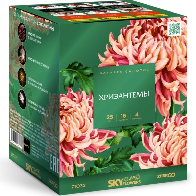 Хризантемы Фейерверк купить в Чапаевске | chapaevsk.salutsklad.ru