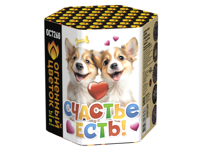 Счастье есть! Салют купить в Чапаевске | chapaevsk.salutsklad.ru