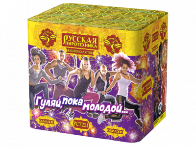 Гуляй, пока молодой Салют купить в Чапаевске | chapaevsk.salutsklad.ru